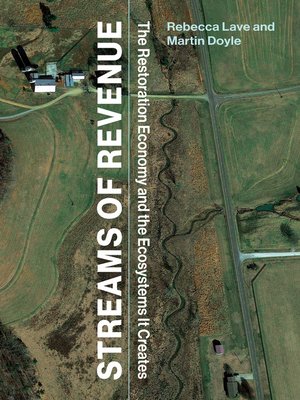 cover image of Streams of Revenue
